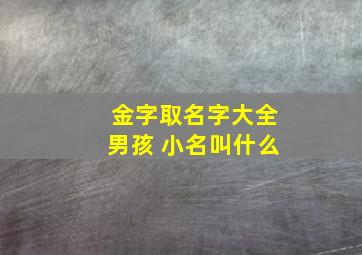 金字取名字大全男孩 小名叫什么